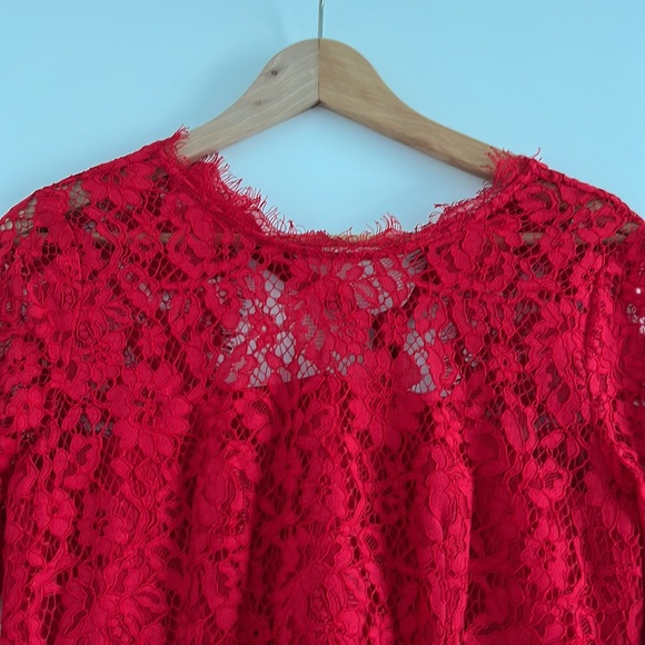 J Crew Red Lace Sheath Dress - Picture 10 of 11